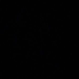 Meet your Posher, Trent